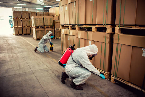 Best Residential Pest Control  in West Sharyland, TX