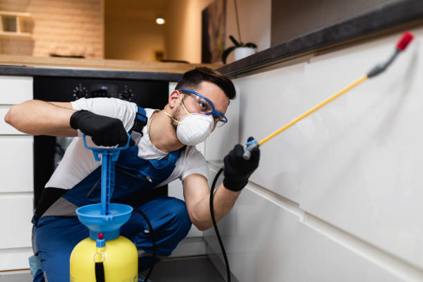 Best Pest Removal Services  in West Sharyland, TX