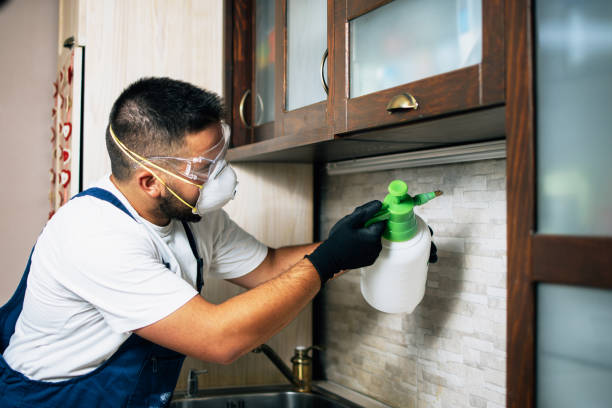 Best Pest Inspection Near Me  in West Sharyland, TX