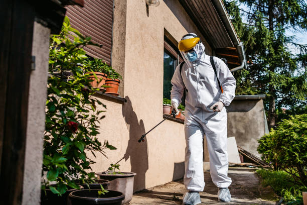 Best Termite Control Services  in West Sharyland, TX