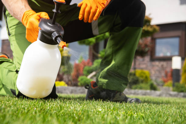 Best Spider Control Near Me  in West Sharyland, TX