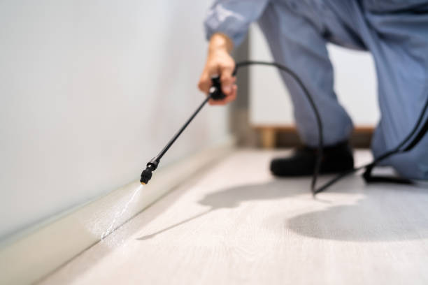 Flea Control Services in West Sharyland, TX