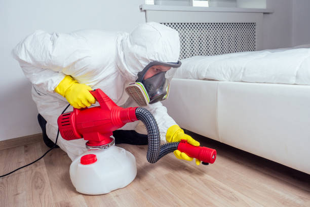 Best Emergency Pest Control  in West Sharyland, TX