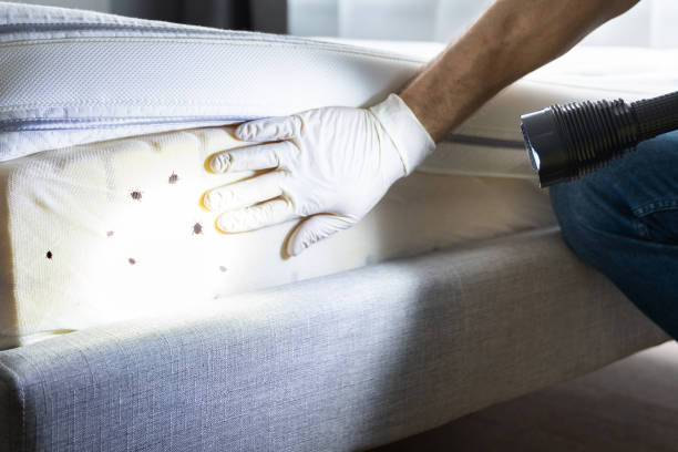 Best Exterminator Services  in West Sharyland, TX