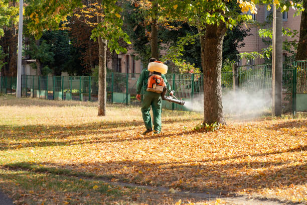 West Sharyland, TX Pest Control Company