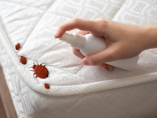 Best Pest Prevention Services  in West Sharyland, TX