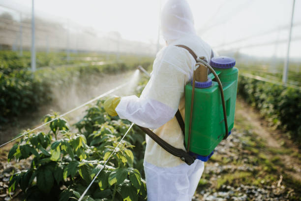 Best Best Pest Control Near Me  in West Sharyland, TX